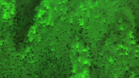 Sand fall on green Stock Footage 33795191