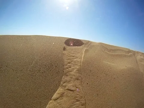 Sand falling down a dune Stock Footage 105036159