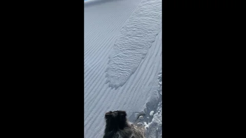 Sand Falling @ White Sands Vídeos de archivo 330683873