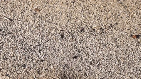 Sand falls in a thin stream Stock Footage 133343364