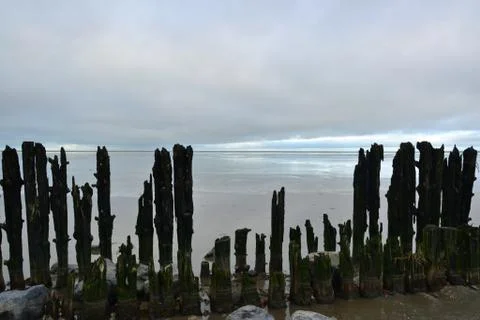 Sand flats at low tide of tidal sea Waddensea near Moddergat, Netherlands Foto stock