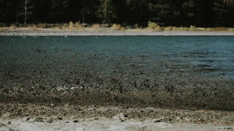 Sand flies from under a motorcycle wheel. Stock Footage 286715778
