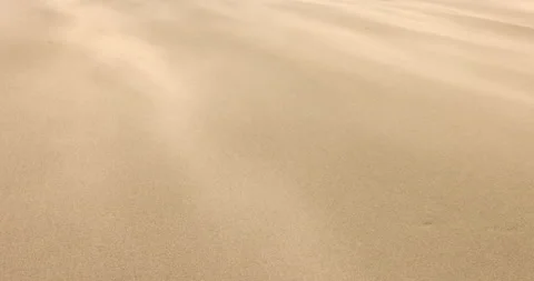 Sand flowing in the wind Dust storm Sand storm Desert Sandy beach Stock Footage 165436561