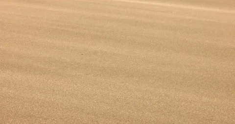Sand flowing in the wind Dust storm Sand storm Desert Sandy beach Stock Footage 165436590