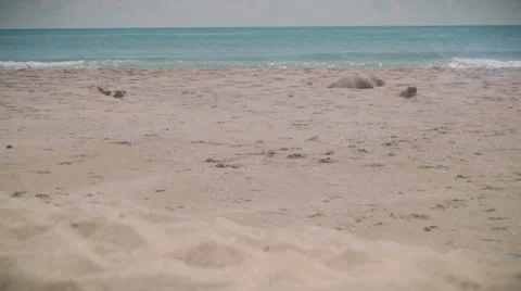 Sand 動画素材 22752510