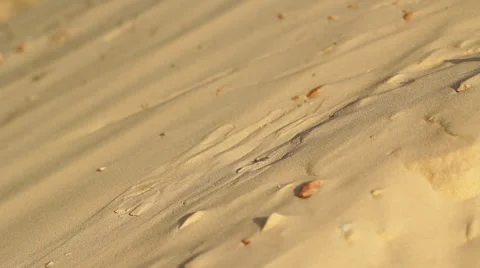 Sand Stock Footage 32180102