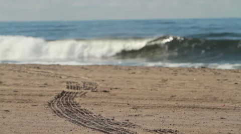 Sand Stock Footage 46808008