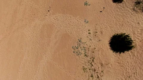 Sand Video stock 233834240