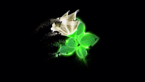 Sand Stock Footage 262997259