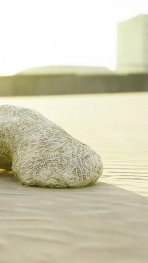 Sand formation in desert with soft light during late afternoon hours Stock Footage 333565026