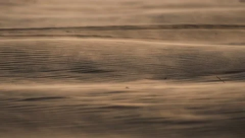 Sand grain blowing in slow motion over desert ripple pattern in sunlight Stock Footage 201180564