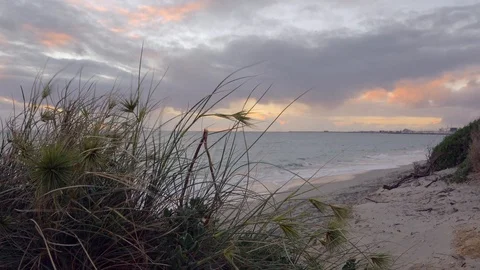 Sand grass blowing in wind on a stormy beach at sunset Stock Footage 91866150