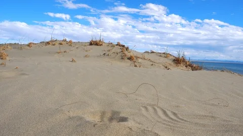 Sand in Hands of Desert Concept Видео 101092012