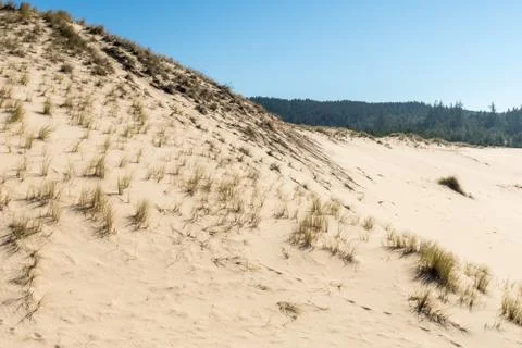 A sand hill from a high point of view over the Oregon dunes Stock Photos