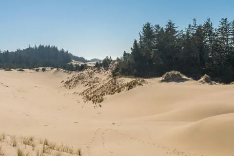 A sand hill from a high point of view over the Oregon dunes Stock Photos