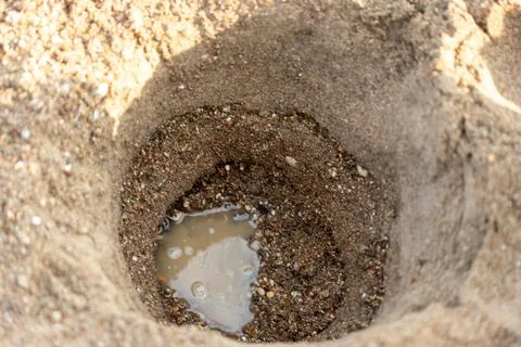 Sand Hole with Water Stock Photos
