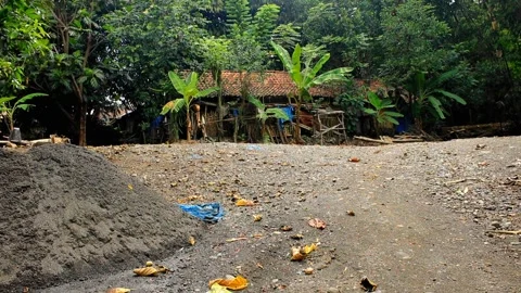 Sand hunt Stock Footage 245235585