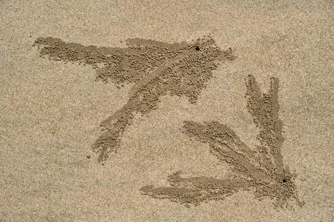 Sand insect pattern, Saranda Beach, Valsad, Gujarat, India, Asia India Cop... Stock Photos