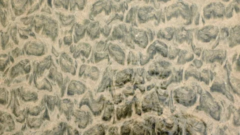 Sand with interesting pattern on shore in shallow water close-up texture. Stock Footage 338362985