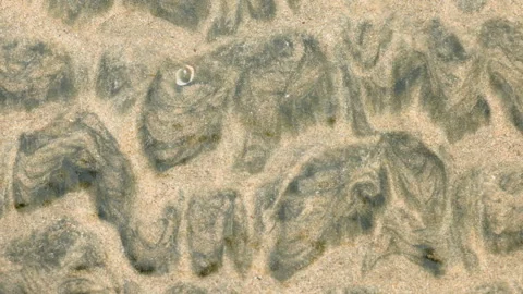 Sand with interesting pattern on shore in shallow water creates natural texture. Stock Footage 338364208