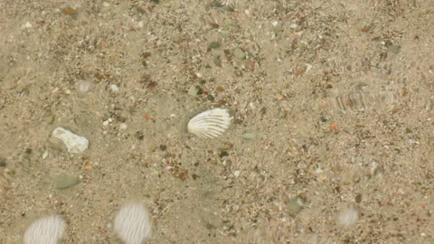 Sand with interesting pattern on shore in shallow water close-up view. Stock Footage 338397374