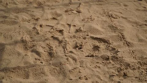 Sand with Irregular Footprints Stock Photos