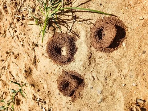 Sand Land Formations Stock Photos