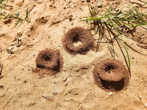 Sand Landforms Stock Photos