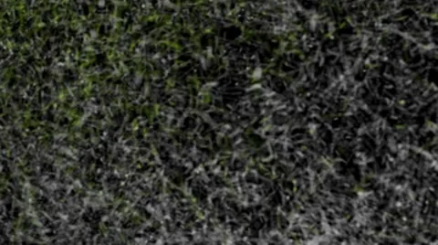 Sand Logo Opener  After Effects	Stock