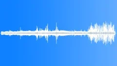 Sand Martin CallsSound Effect