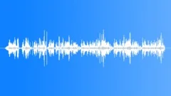 Sand Martin CallsSound Effect