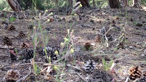 The sand in the mountains Stock Footage 83189024