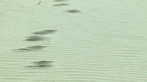 Sand Ocean Desert Stock Footage 54562768