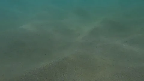 Sand on the ocean floor Stock Footage 209132083