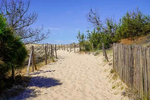 Sand path access to sea beach with fence at le Porge ocean atlantic near Laca Stock Photos