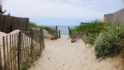 Sand Path Leading to the Beach Stock Footage 117251794