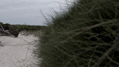 Sand path, Maritime landscape. Slow motion. Panning 4K 库存影片 253184454