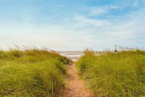 Sand path over dunes with beach grass Stock Photos