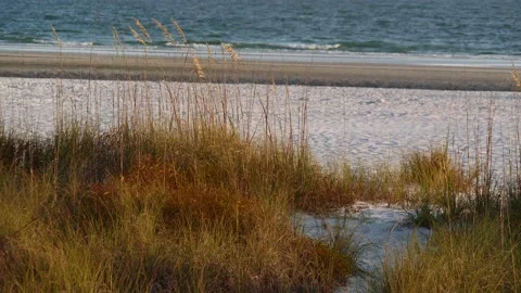 Sand Path Through Sea Oats to Gulf Coast Beach Stock Footage 154880120