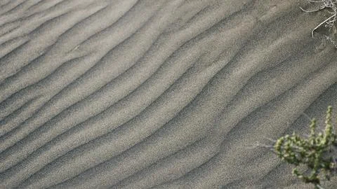 Sand pattern as background. Zen pattern in white sand. Stock Photos