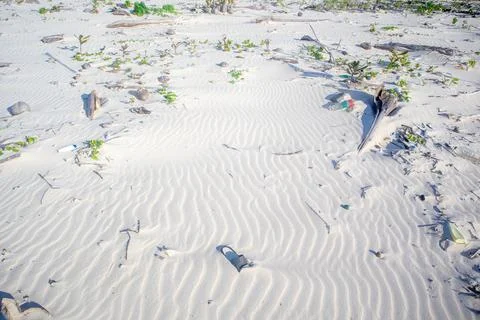 Sand Pattern on Beach With Driftwood Stock-Fotos