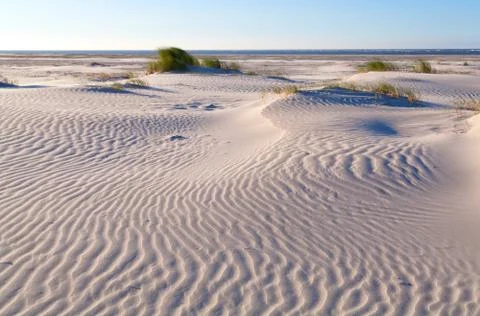 Sand pattern on coastal dune Foto stock