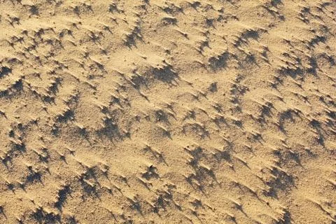 Sand patterns formed by wind and sea shells 스톡 사진
