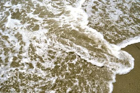 In the sand Stock Photos