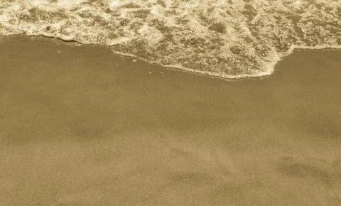 In the sand Stock Photos