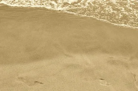 In the sand 스톡 사진