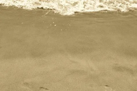 In the sand 写真素材