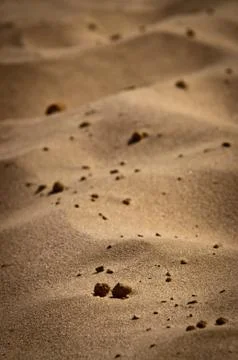 Sand Photos