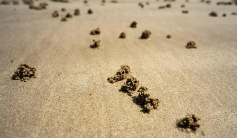 Sand Stock Photos