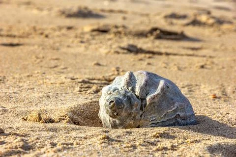 On sand Stock Photos
